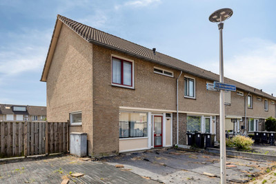 Schrauwenstraat 36