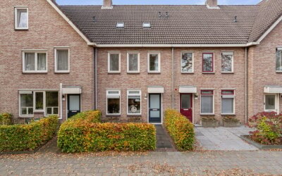 Schoonhout 168