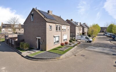 Houtduif 16