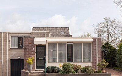 Aalscholver 9