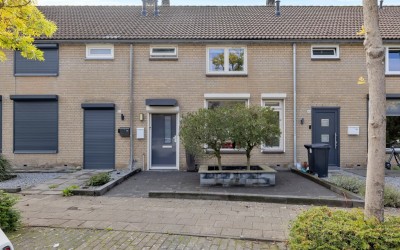 Roerdomp 50