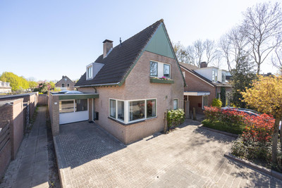 Lijster 16