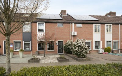 Zilvermeeuw 33