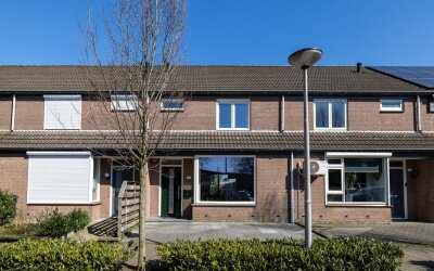 Zilvermeeuw 101