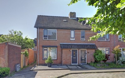 Zilvermeeuw 24