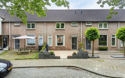 Zilvermeeuw 102