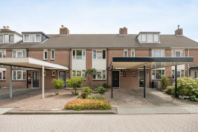 Meerkoet 29