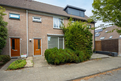 Blauwe Reiger 19