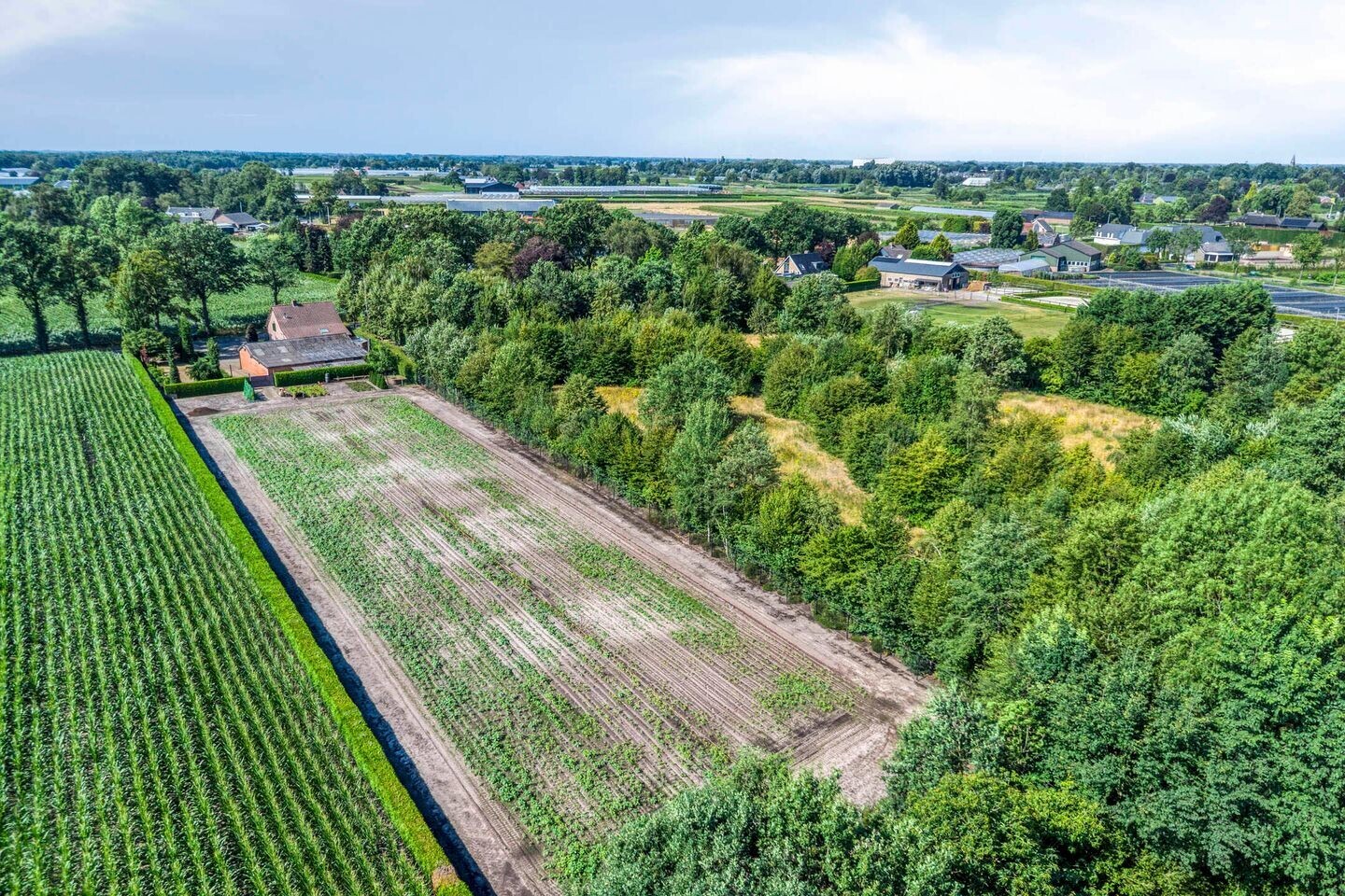 Vrijstaande woning te koop: Waaijenbergstraat 3, Zundert