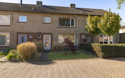 Zwarte Berk 4