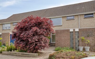 Bronkhorst 8