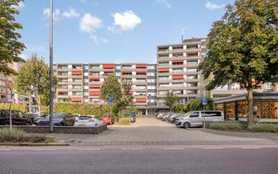 Schapendries 74