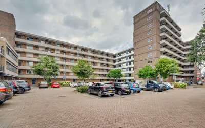 Schapendries 134
