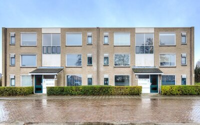 Van Reesstr. 41