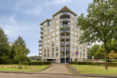 Houtwolplantsoen 294