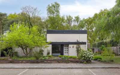 Marinus de Jongstraat 16