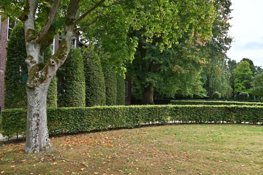 Appartement te koop: Kapucijnenhof 42, Oosterhout