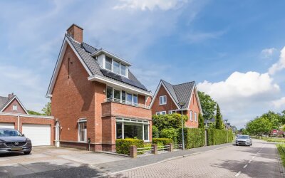 Harlekijnvlinder 18
