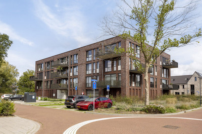 Zilverberg 30