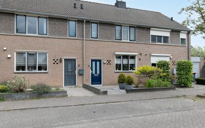 Anton van D. 4