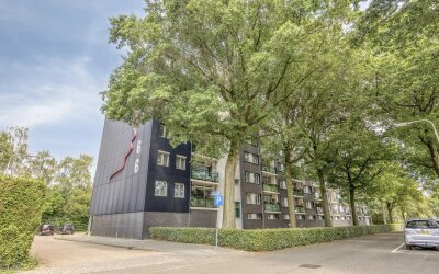 Griegstraat 541