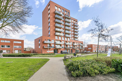 Sint Pieter. 64