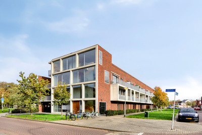 Jan van der. 64