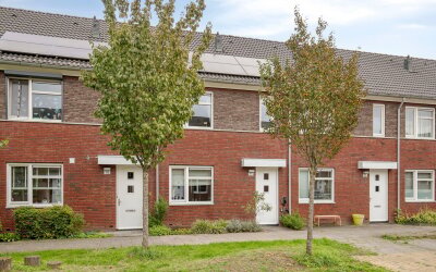 Piketberg 11