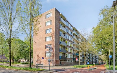 Professor Cobbenhagenlaan 238