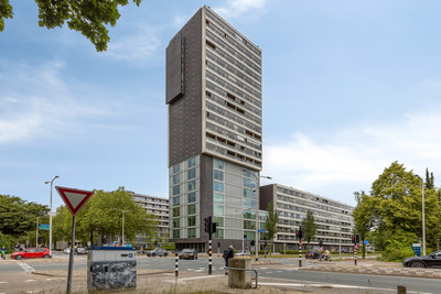Professor de Moorplein 533