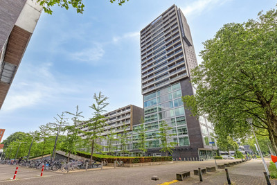 Professor de Moorplein 538