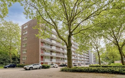 Cederstraat 31