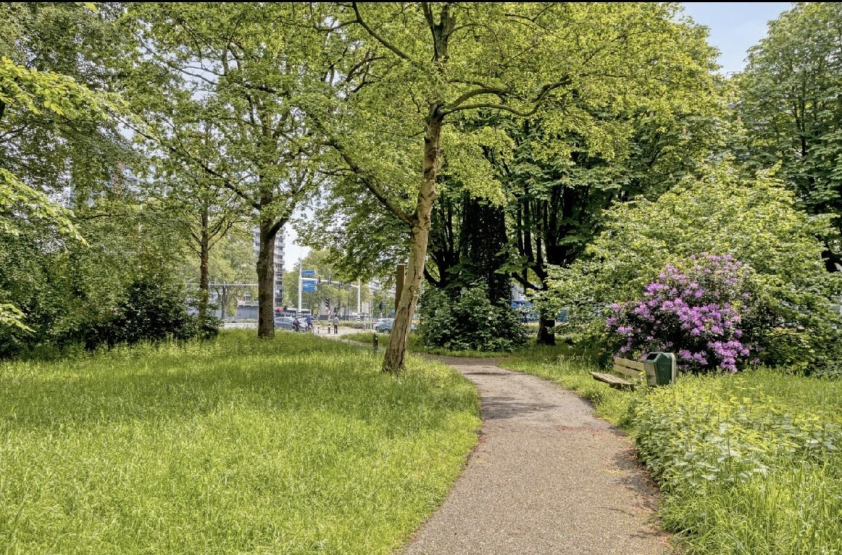 Appartement te koop: Cederstraat 31, Tilburg