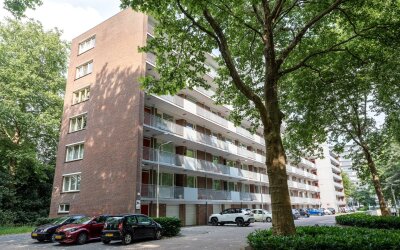 Cederstraat 33