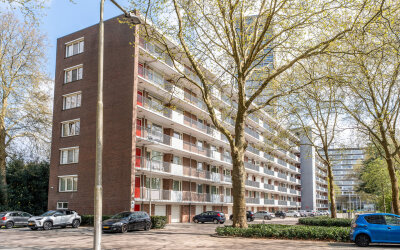 Cederstraat 55