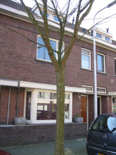Mr. Stormstraat 20
