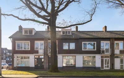 Lage Witsie. 242