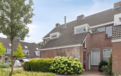 Haneven 36