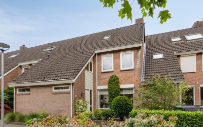 Wit Hollandven 25