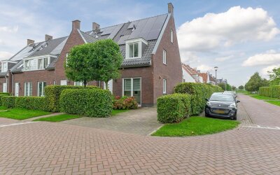 Goudrenet 19