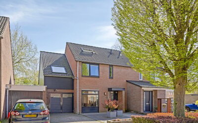 Dommel 55