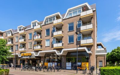 Rozemarijn 50