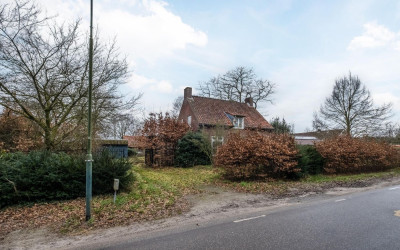Heiligenboom 5