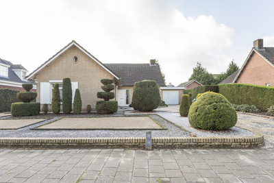 De Scheerman 10