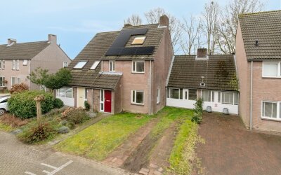 Goudsbloem 83