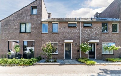 Koekoeksbloem 16