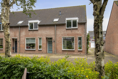 Witvenstraat 17