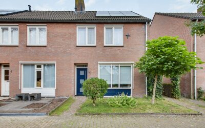 Esdoorn 2