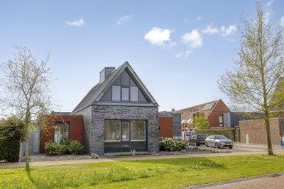 Hamsesticht 3
