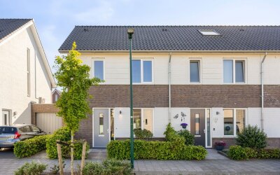Paardebloem 6